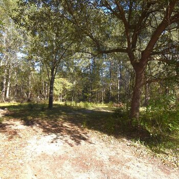 Photo of Mobile Home Lot