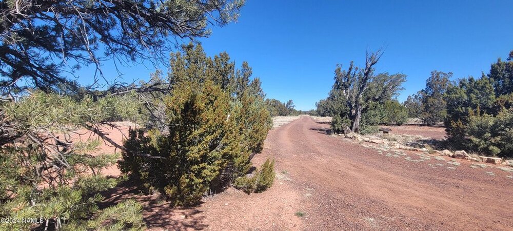 Photo of Mobile Home Lot