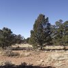 Photo of Mobile Home Lot
