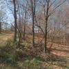 Mobile Home for Sale: 2005 Mobile Home