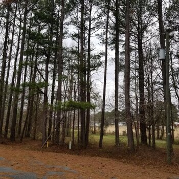 Photo of Mobile Home Lot