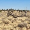 Photo of Mobile Home Lot