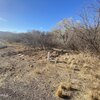 Photo of Mobile Home Lot