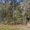 Mobile Home for Sale: 3 Bed 2 Bath 1989 Mobile Home