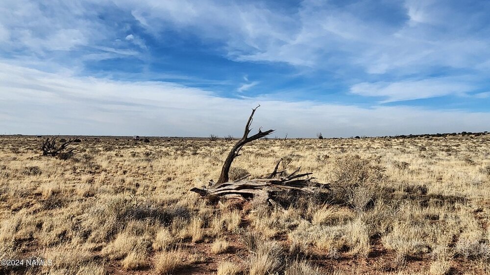 Photo of Mobile Home Lot