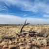 Photo of Mobile Home Lot