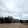 Mobile Home for Sale: 3 Bed 2 Bath 1979 Mobile Home
