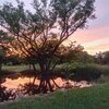 Mobile Home for Sale: Mobile Home - Alvarado, TX, Alvarado, TX
