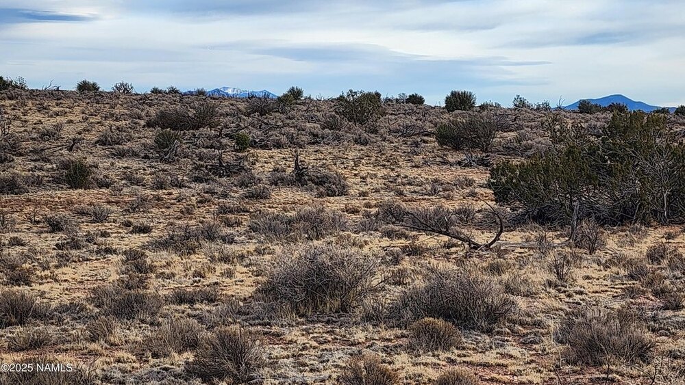 Photo of Mobile Home Lot