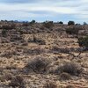 Photo of Mobile Home Lot