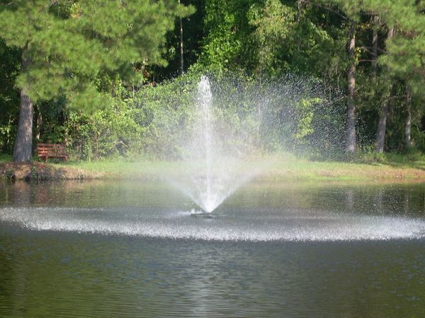 lake 1 of 3