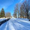 Mobile Home for Sale: Mobile Home
