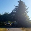 Mobile Home for Sale: 3 Bed 2 Bath 1992 Mobile Home
