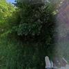 Mobile Home for Sale: 2003 Mobile Home