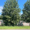 Mobile Home for Sale: 3 Bed 2 Bath 1998 Mobile Home