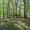 Mobile Home for Sale: 1980 Mobile Home