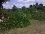 Photo of Mobile Home Lot