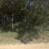 Mobile Home for Sale: Mobile Home
