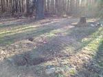 Photo of Mobile Home Lot