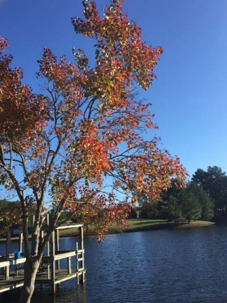 Photo of RV Park/Campground
