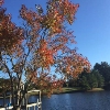 Photo of RV Park/Campground