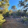 Photo of Mobile Home Lot