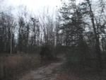 Photo of Mobile Home Lot