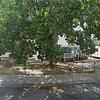 Mobile Home for Sale: 1961 Mobile Home