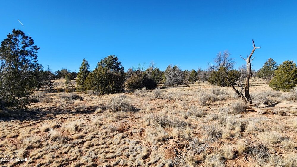 Photo of Mobile Home Lot