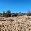 Photo of Mobile Home Lot