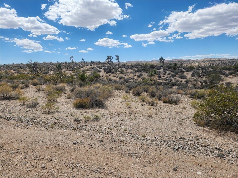 Photo of Mobile Home Lot