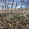 Photo of Mobile Home Lot