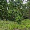 Mobile Home for Sale: 2 Bed 1 Bath 1990 Mobile Home