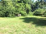 Photo of Mobile Home Lot