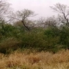 Photo of RV Park/Campground