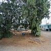 Mobile Home for Sale: 1984 Mobile Home
