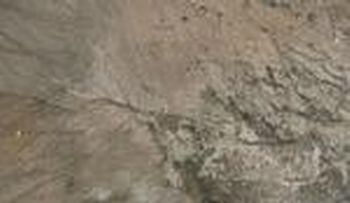 Photo of Mobile Home Lot