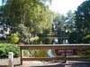 Shorewood 4