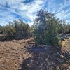 Photo of Mobile Home Lot