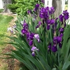 Photo of RV Park/Campground