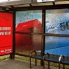 Photo of Shelter