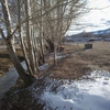 Mobile Home Park for Sale: Creekside Mobile Home Park, Ely, NV