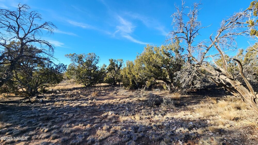 Photo of Mobile Home Lot