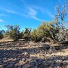 Photo of Mobile Home Lot