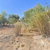 Mobile Home for Sale: 3 Bed 2 Bath 2000 Mobile Home
