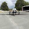 33-bonanza__5.jpg