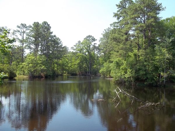 One of the fishing lakes