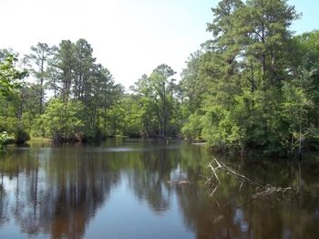 Thumbnail of mobile home park