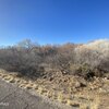 Photo of Mobile Home Lot