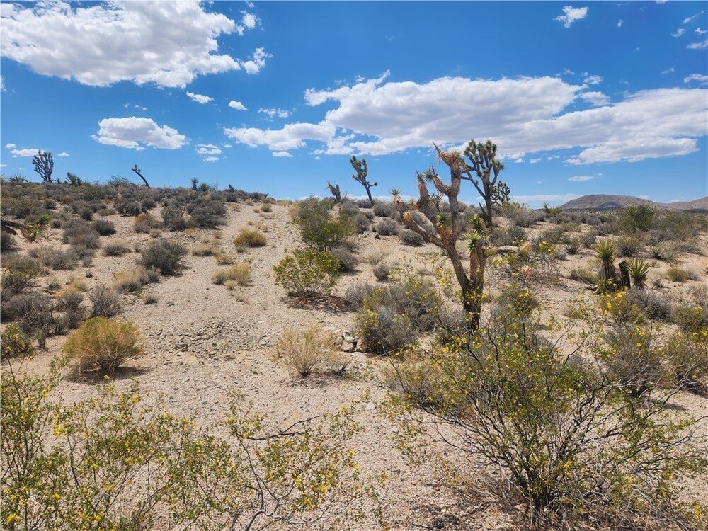 Photo of Mobile Home Lot